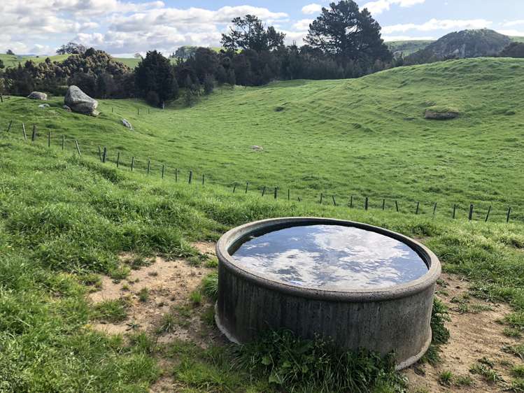 428 Whatauri Road Wharepapa South_14