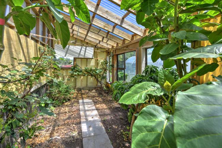 21 Willow Lane Gore_15