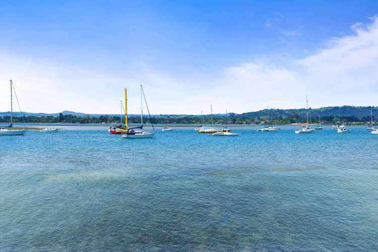 4 Ash Lane Omokoroa_14