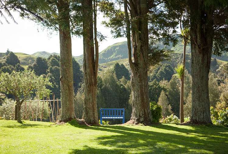 827 Limeworks Loop Road Karamu_42