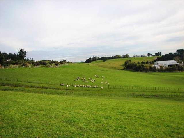 Maewa Road Feilding_4