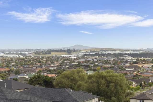 124 Joseph Street Flat Bush_1