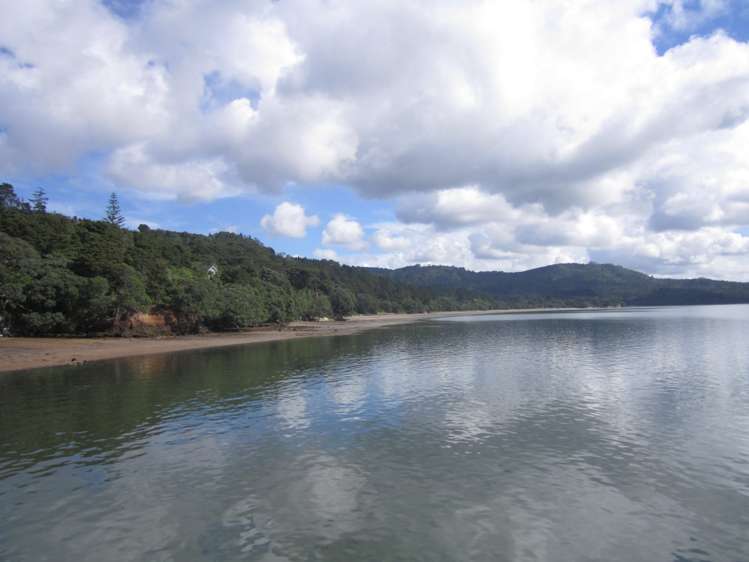 95 Cornwallis Road Cornwallis_7