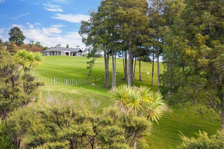 161B Mokoroa Valley Road Waitakere_26