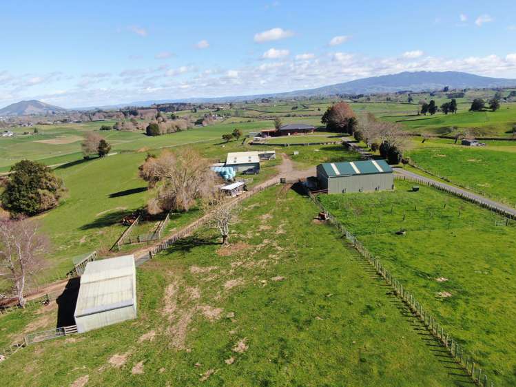 2/4798 Ohaupo Road Te Awamutu_35