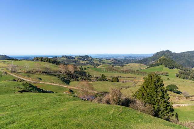 744 Woodlands Road Waihi_4