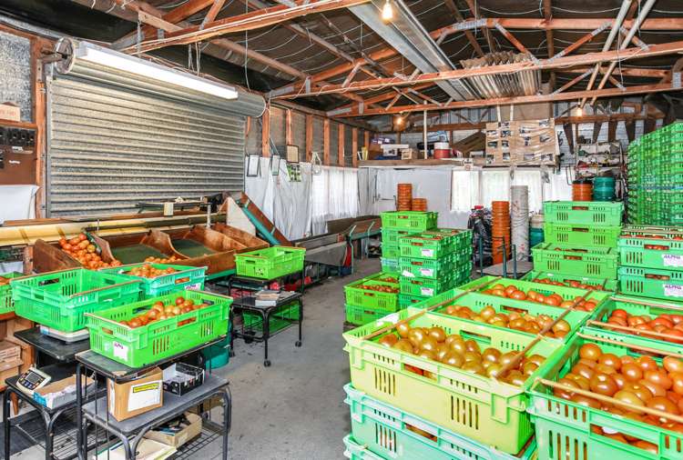 494 Fitzgerald Road Drury_15