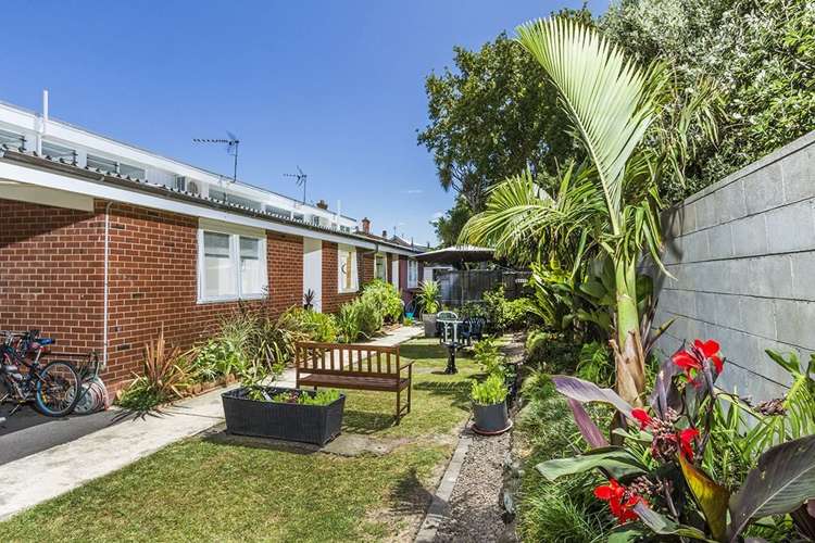 4/6 North Avenue Narrow Neck_1