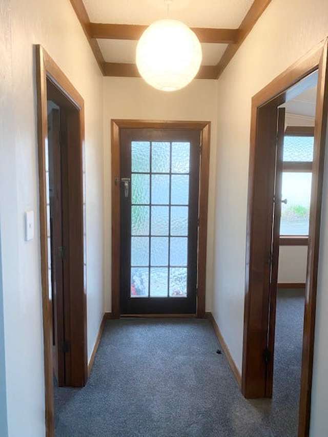 43 Emano Street Toi Toi_4