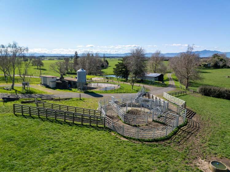 97 Herbert Road Morrinsville_4