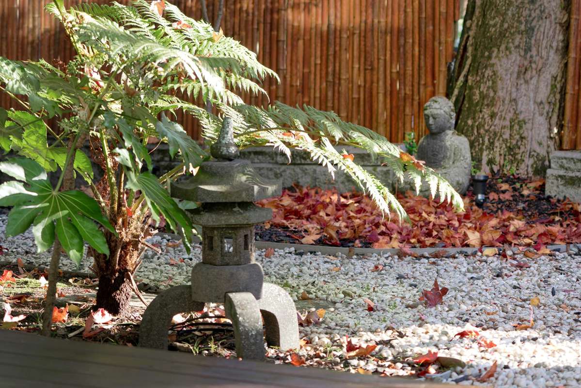 20B Orakei Road_3