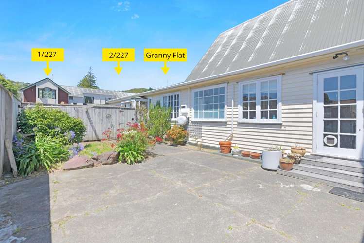 227 The Parade Island Bay_11