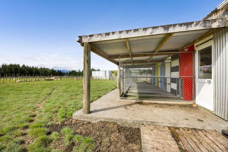 51 Sole Road Ngaere_28