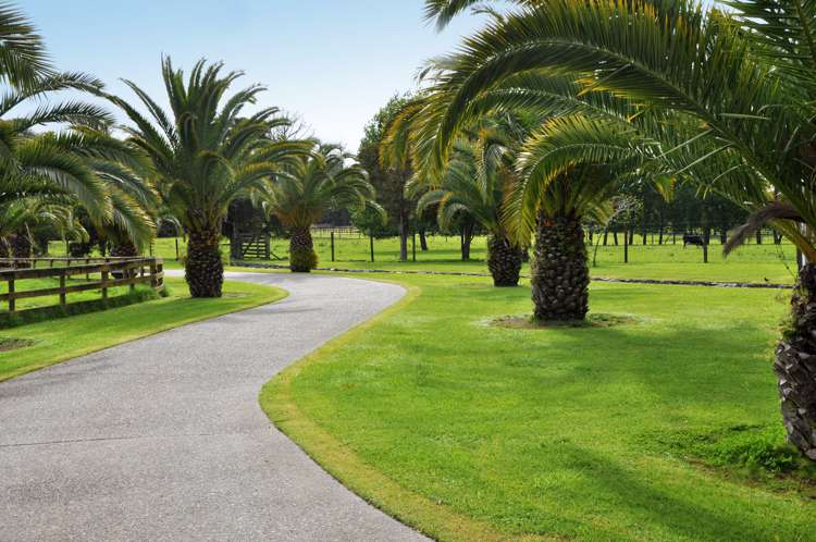 70 Anderson Road Matakana_6