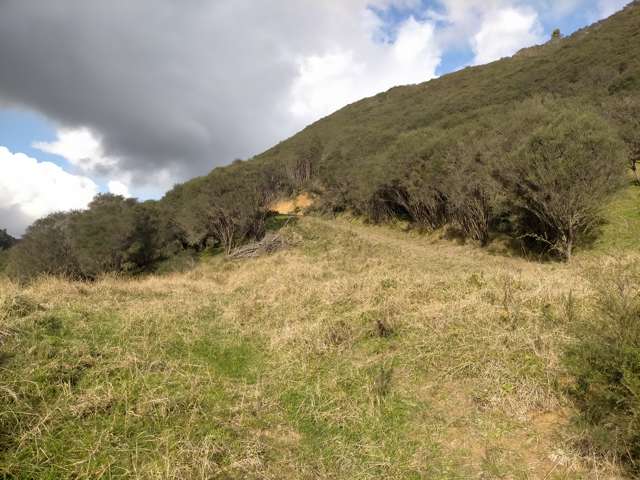 60 Tongaporutu-Ohura Road Ahititi_1