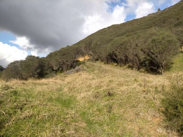 60 Tongaporutu-Ohura Road Ahititi_1