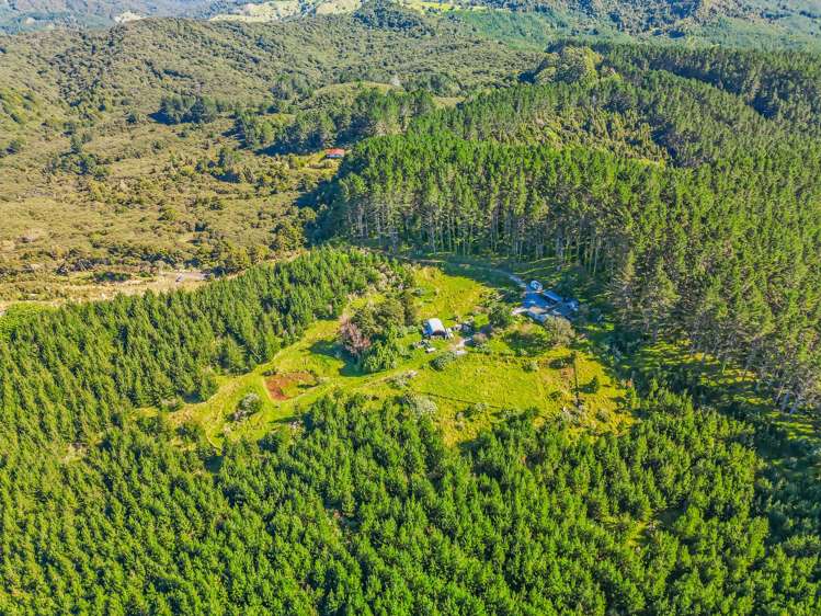 110 Whangape Track Road Broadwood_39
