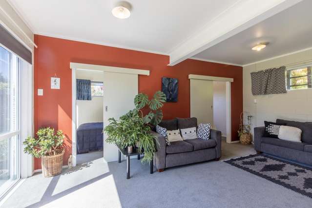 49 Kaimanawa Street Omori_1