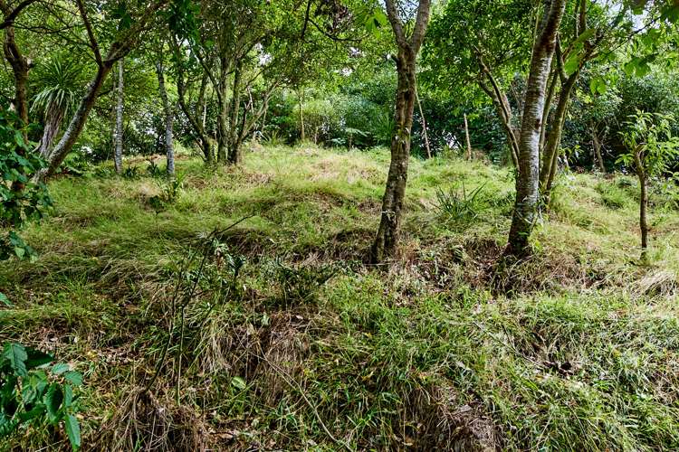 6e Reuben Avenue Brooklyn_1