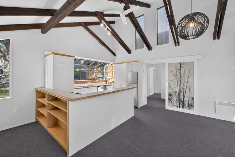 60 Soleares Avenue Mount Pleasant_9