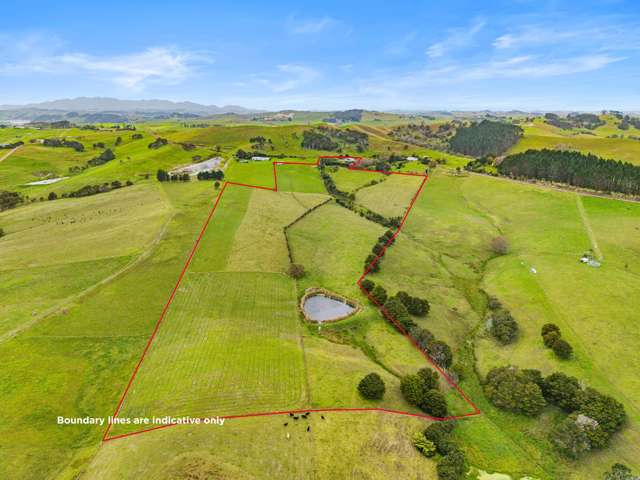 184 Bradleys Landing East Road Dargaville Surrounds_1