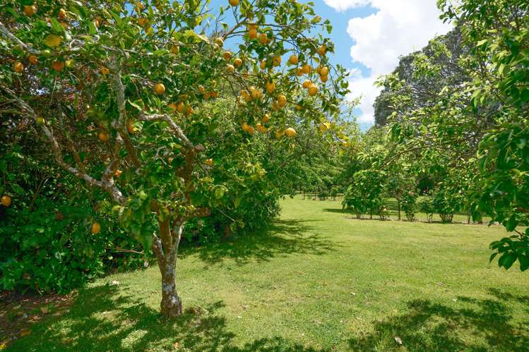 44 and 46 Takinga Street Mourea_28