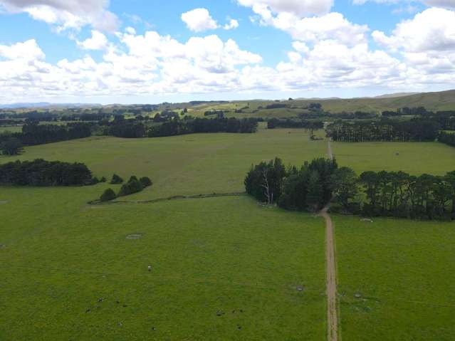 Flat, Green & Ready for You