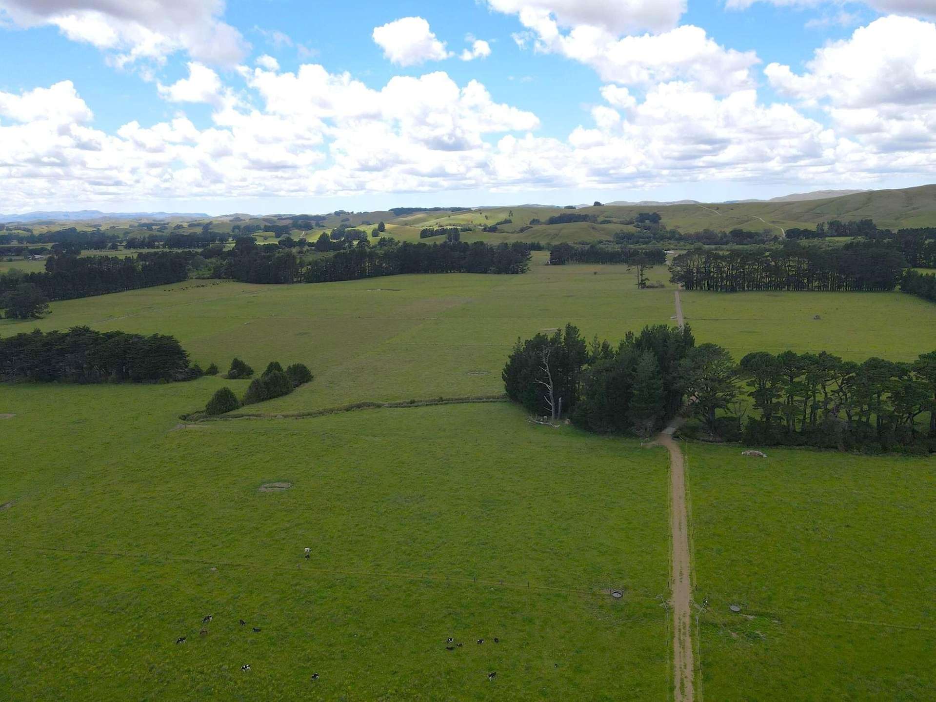 220 Larsen Road Eketahuna_0