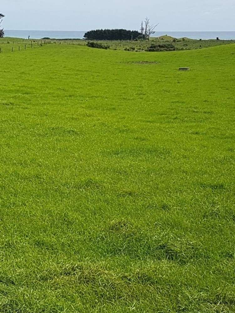 153 Tipoka Road Rahotu_10