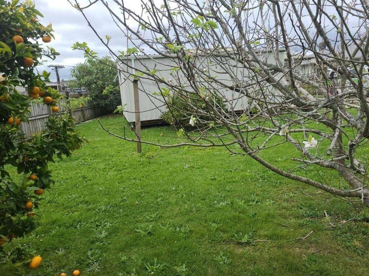 Two-Bedroom Home with Two-Bedroom Sleepout - Otangarei 5