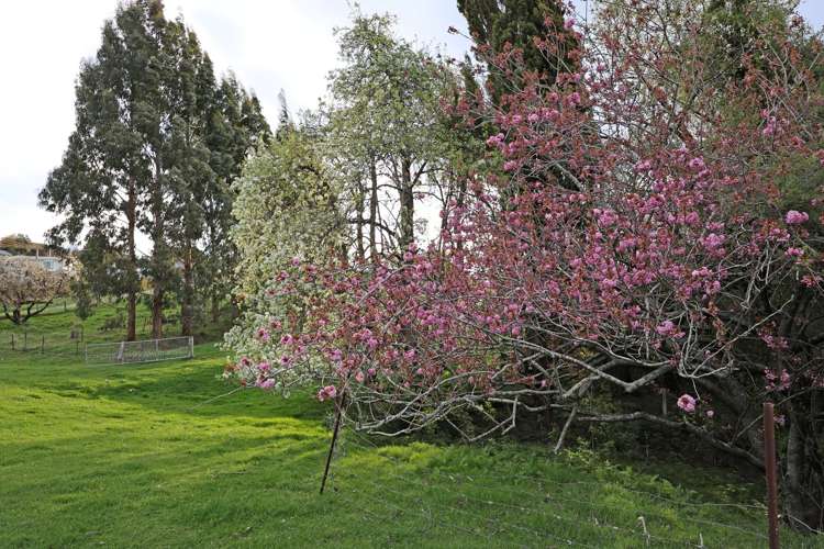 Lot 1 Solway Street Oamaru_3