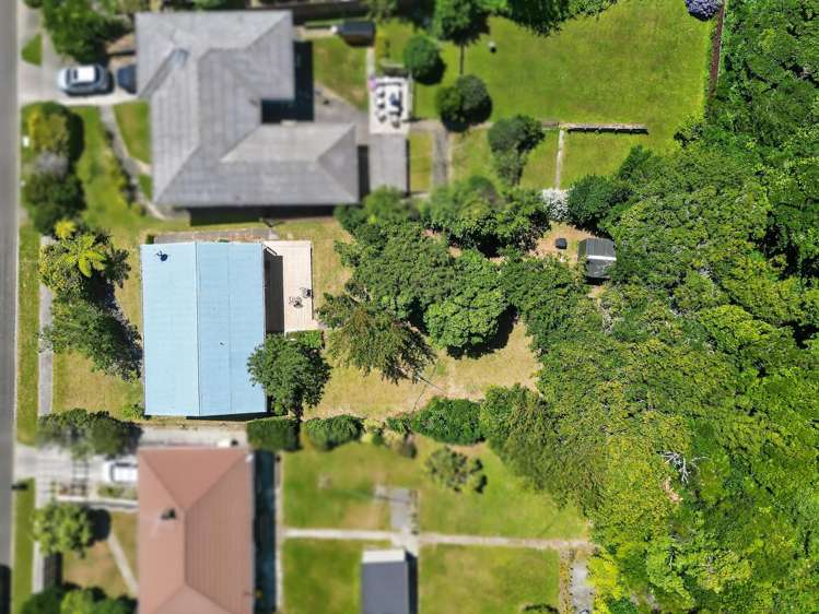 55 Taylor Terrace Tawa_19