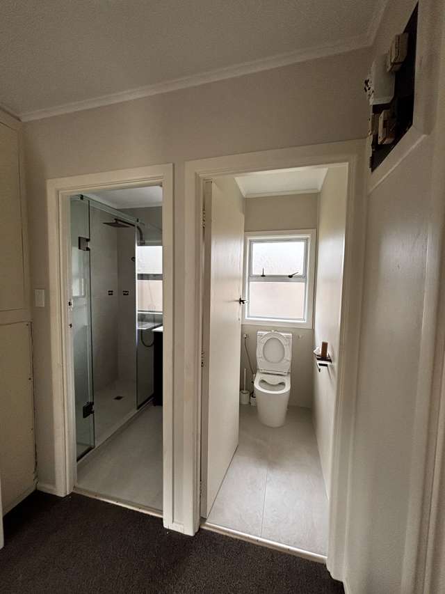 2 Ellerslie Park Road Ellerslie_4