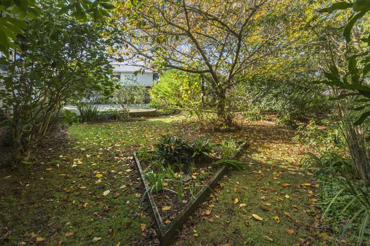 101 Botany Road Botany Downs_6