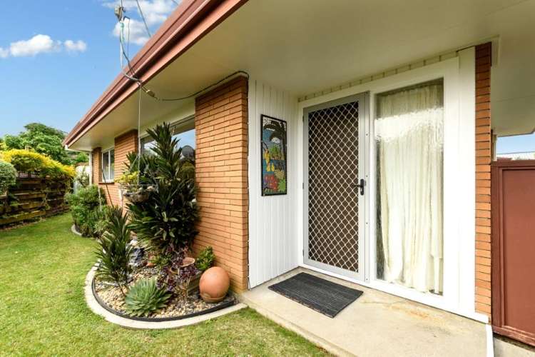 137a Bellevue Road Brookfield_12