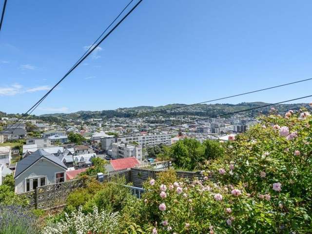 21 Stafford Street Mount Victoria_4