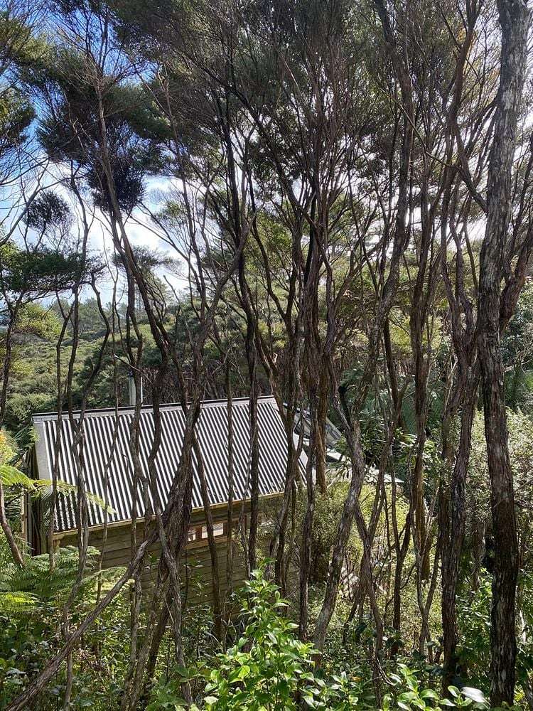 Tane Mahuta/122 Lone Kauri Road Karekare_7