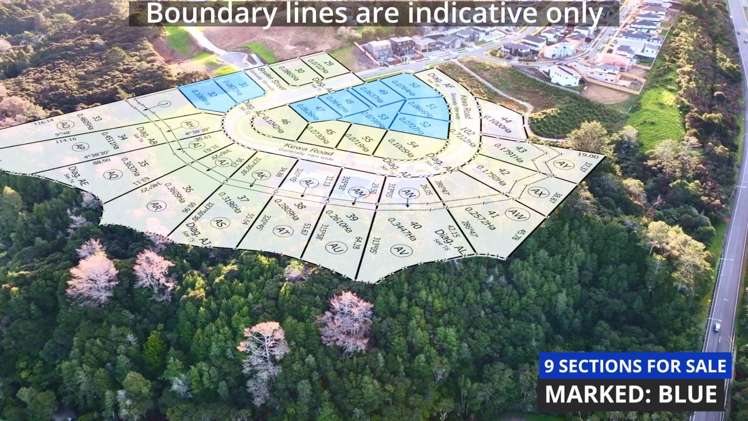 67 Kewa Road Albany Heights_1