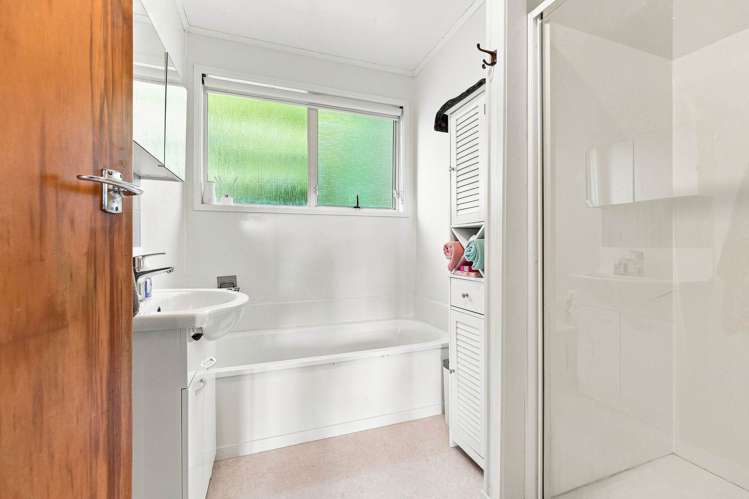 66 Alexander Avenue Torbay_9
