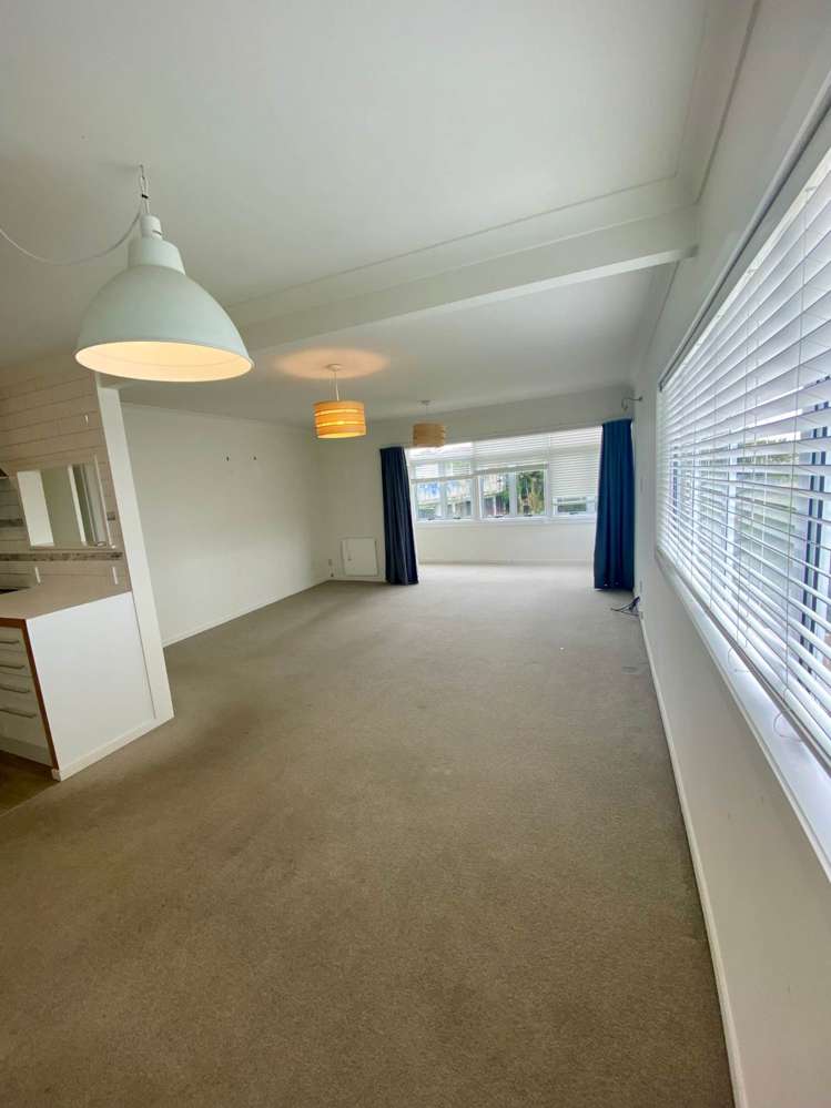 10/2 Cowie Street Parnell_7