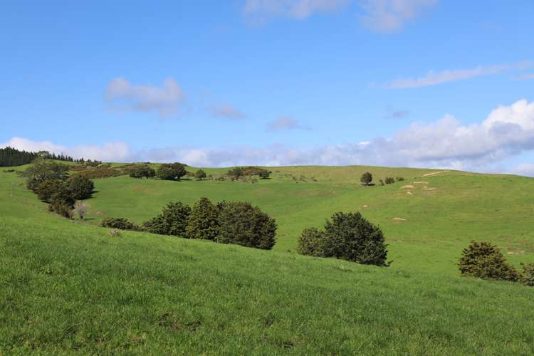 Inkster Road Maromaku_11