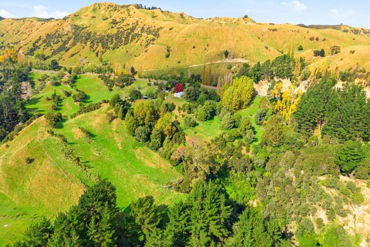 3499 State Highway 4 Kakatahi_26