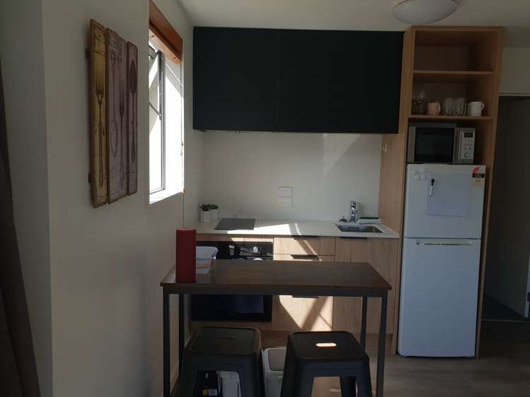 100a Mcbride Street Frankton_5