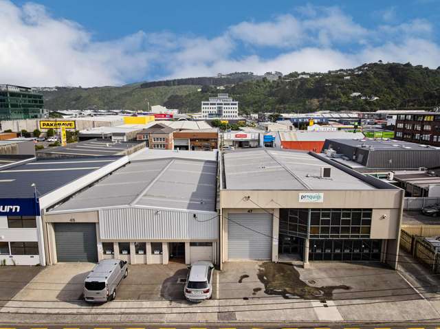 45 and 47 Fitzherbert Street Petone_1