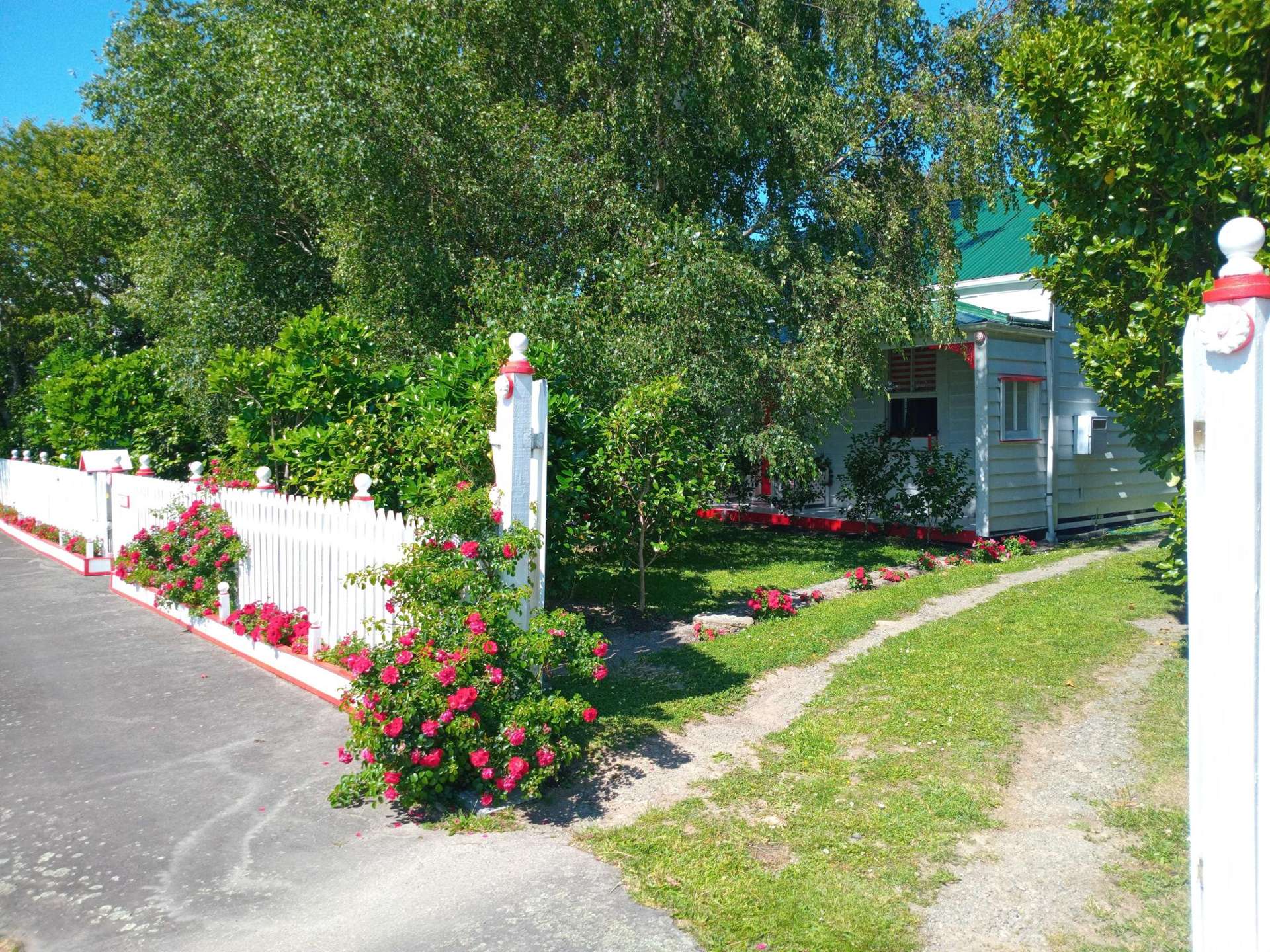 86 Grey Street Woodville_0