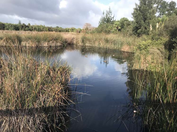 1 Beardmore Lane Papakura_27