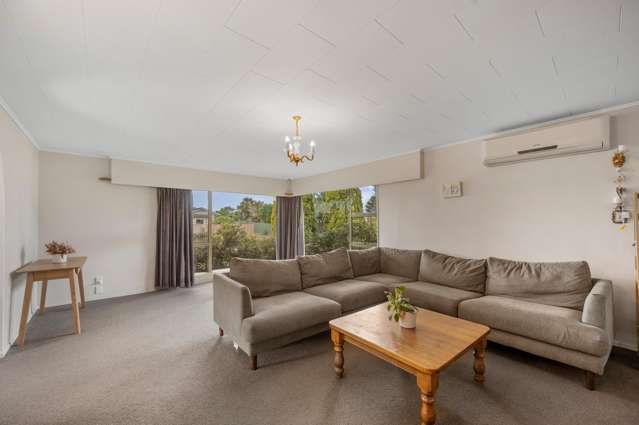 2 Freyberg Avenue Tamatea_4
