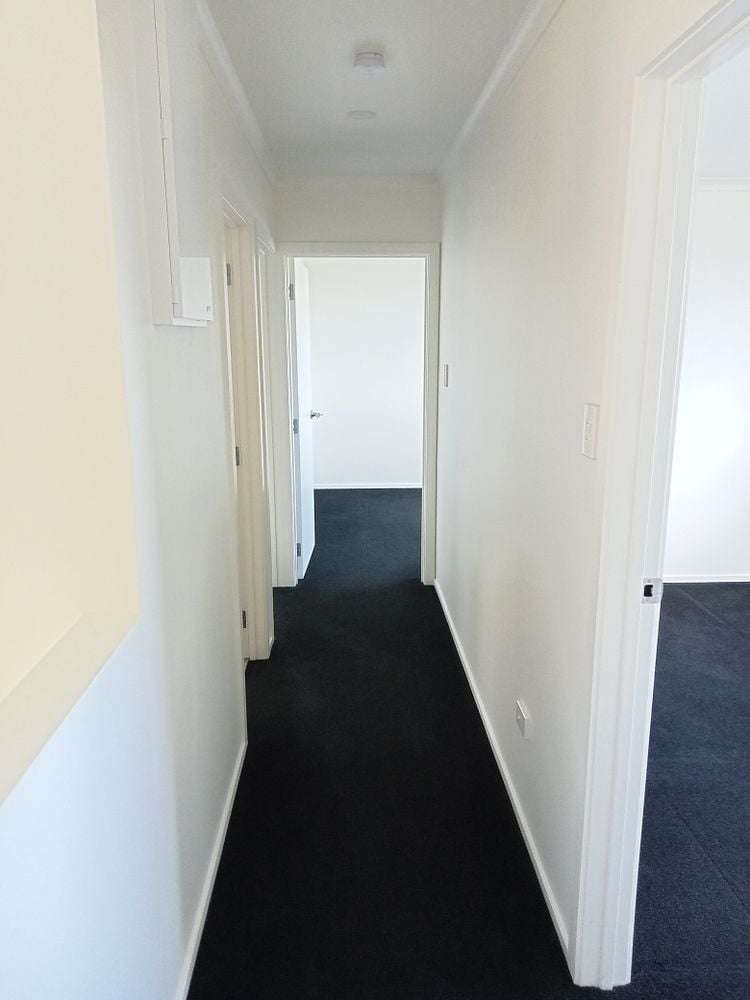 2/1 St Abbs Place North Dunedin_13