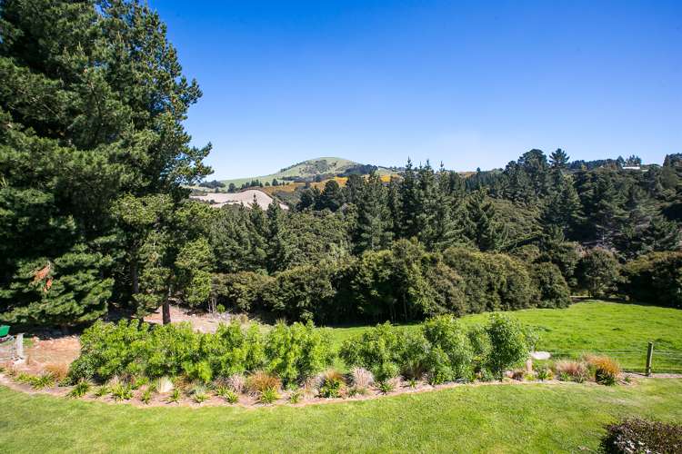 82 Scurr Road Scroggs Hill_18