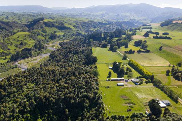 2373 Pohangina Valley East Road Pohangina Valley_1